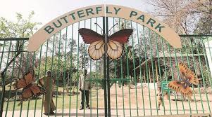 Butterfly Park chandigarh