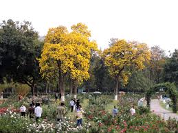 Rose Garden Chandigarh