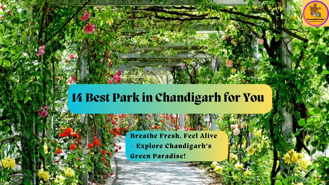 parks in chandigarh, best park in chandigarh, aviary park chandigarh, bird park chandigarh, bird park chandigarh ticket price, chandigarh best park, chandigarh bird park, chandigarh famous park, chandigarh new park, chandigarh park name, chhatbir zoo near chandigarh, famous park in chandigarh, fragrance park chandigarh, nature trail chandigarh, new park in chandigarh, online ticket of bird park chandigarh, sukhna lake park chandigarh, sukhna lake park sector 6 chandigarh, urban park chandigarh, world park chandigarh, world park in chandigarh, zoo park in chandigarh, zoological park in chandigarh