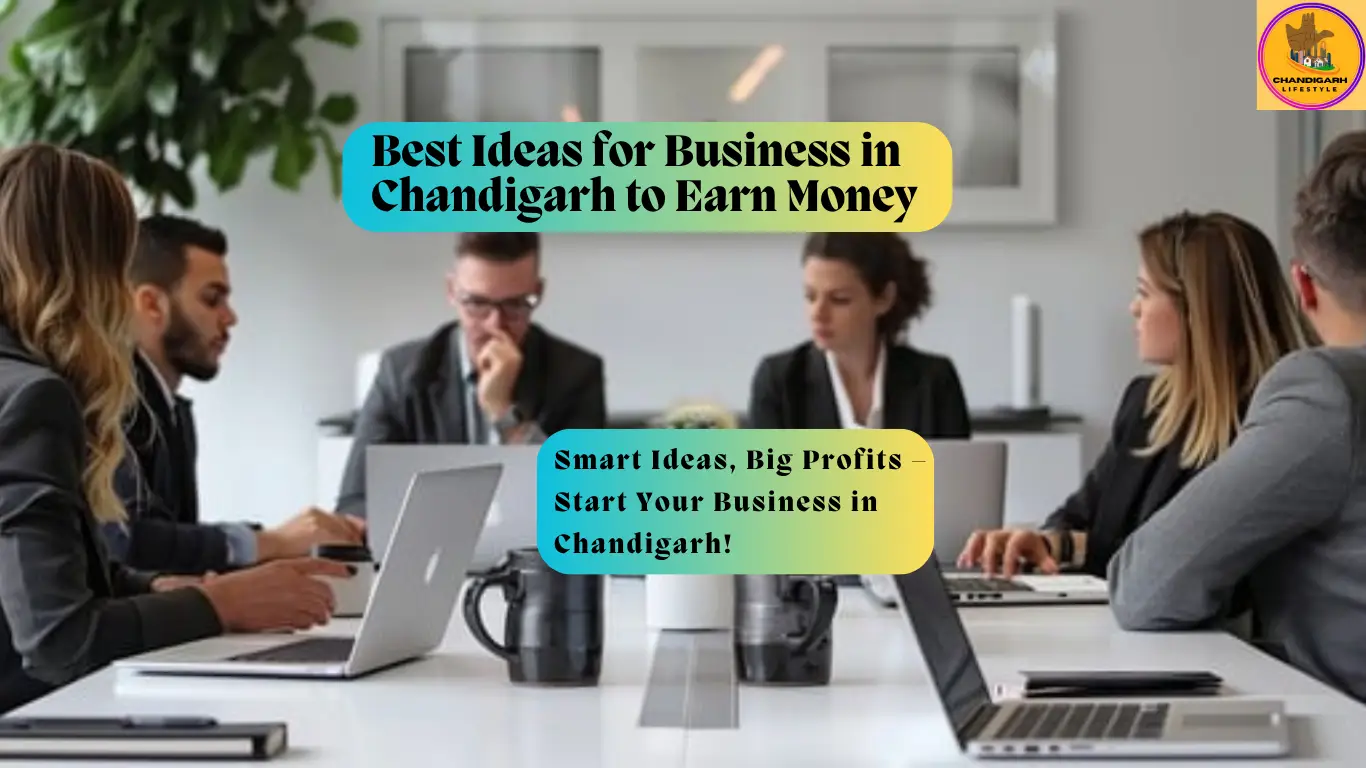 business in chandigarh, best business ideas in chandigarh, best business in chandigarh, best business to start in chandigarh, business opportunities chandigarh, business to do in chandigarh, business to start in chandigarh, small business ideas in chandigarh, small business in chandigarh, business idea in chandigarh
