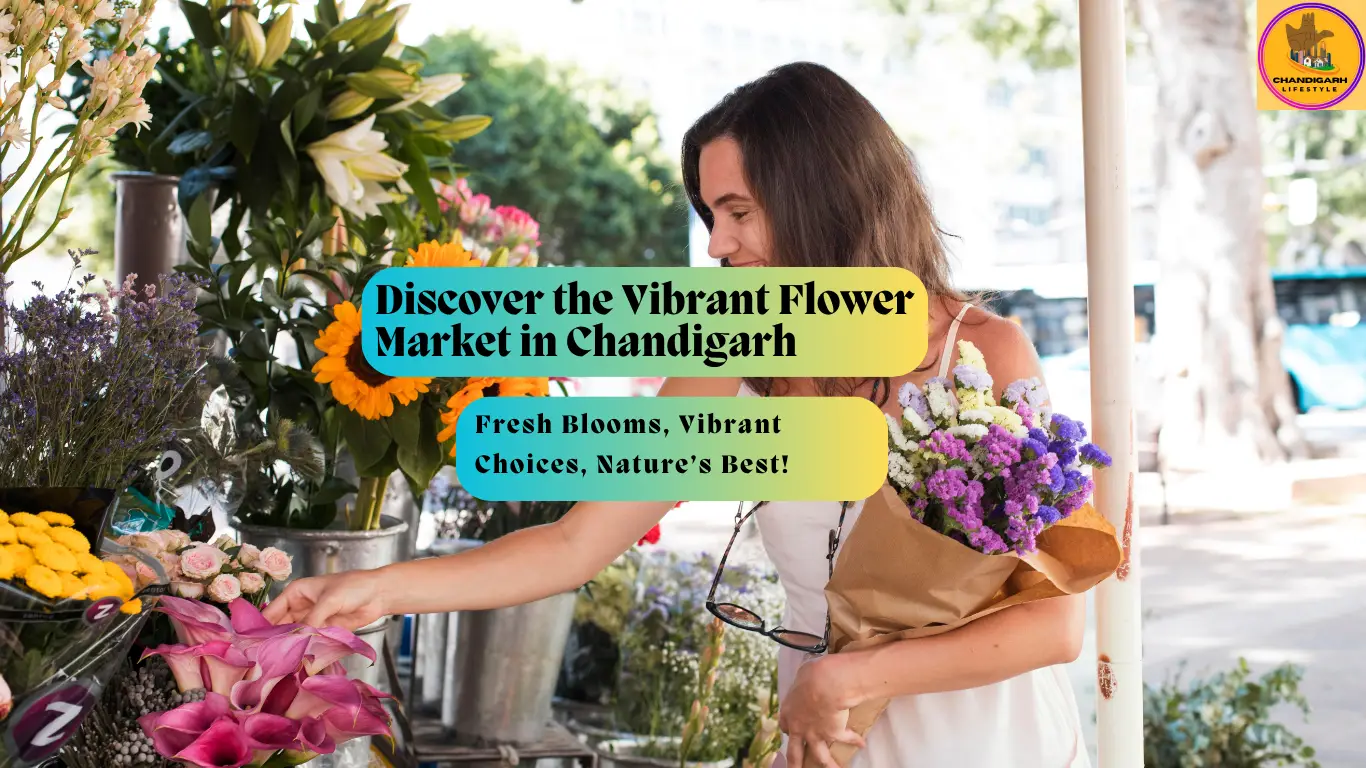 chandigarh flower market, flower market in chandigarh, flower mandi in chandigarh, flower market chandigarh, flower market sector 35, flower market sector 35 chandigarh, sector 35 flower market, sector 35a flower market, wholesale flower market in chandigarh, rose market in chandigarh