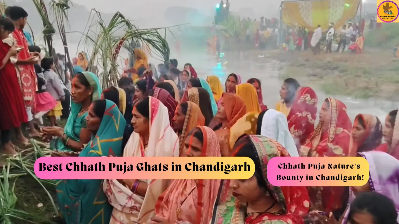 Chhath Puja in Chandigarh, Chhath Puja Ghats in Chandigarh, Chhath Puja Celebration in Chandigarh, Chat Puja Ground in Chandigarh, New Lake Sector 42 Chandigarh, Sector 49C Chandigarh, Sector 47 Chandigarh