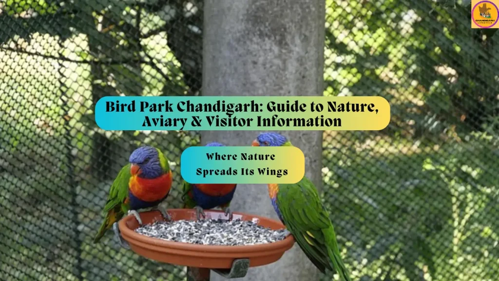 bird park chandigarh, bird park chandigarh timings, bird park chandigarh ticket price, aviary park chandigarh, bird park chandigarh online ticket booking, chandigarh bird park online ticket booking, online ticket of bird park chandigarh, bird aviary chandigarh