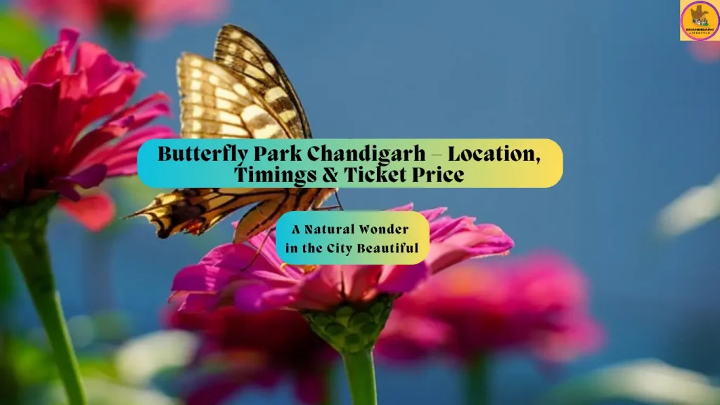 butterfly park in chandigarh, butterfly park chandigarh, chandigarh butterfly park, butterfly park of chandigarh, butterfly park chandigarh entry fee, butterfly park chandigarh timings, butterfly park chandigarh tickets, butterfly park chandigarh reviews, butterfly park chandigarh wikipedia, butterfly park chandigarh location, butterfly park chandigarh in which sector, butterfly park chandigarh tours, butterfly park chandigarh ticket price, butterfly park chandigarh price, best time to visit butterfly park chandigarh, butterfly park 26 CHD photos, Butterfly Park Chandigarh Tourism History, Butterfly Park Chandigarh