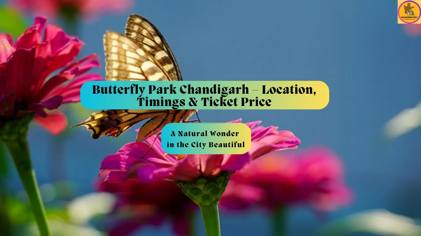 butterfly park in chandigarh, butterfly park chandigarh, chandigarh butterfly park, butterfly park of chandigarh, butterfly park chandigarh entry fee, butterfly park chandigarh timings, butterfly park chandigarh tickets, butterfly park chandigarh reviews, butterfly park chandigarh wikipedia, butterfly park chandigarh location, butterfly park chandigarh in which sector, butterfly park chandigarh tours, butterfly park chandigarh ticket price, butterfly park chandigarh price, best time to visit butterfly park chandigarh, butterfly park 26 CHD photos, Butterfly Park Chandigarh Tourism History, Butterfly Park Chandigarh