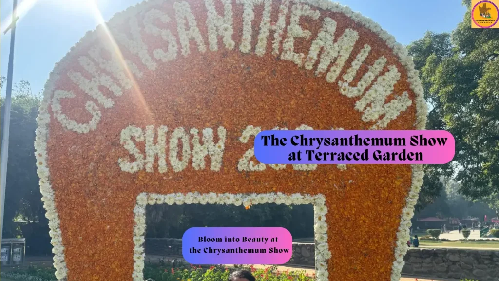 chrysanthemum show, chrysanthemum show in chandigarh, chrysanthemum show chandigarh, chrysanthemum flower show, show chrysanthemums, chrysanthemum show 2025,Guldaudi show chandigarh 2025, Guldaudi show chandigarh, Flower show Chandigarh 2025, Chrysanthemum festival Chandigarh 2025, Chrysanthemum Show Chandigarh 2025 date, Chrysanthemum Show Chandigarh 2025 timing