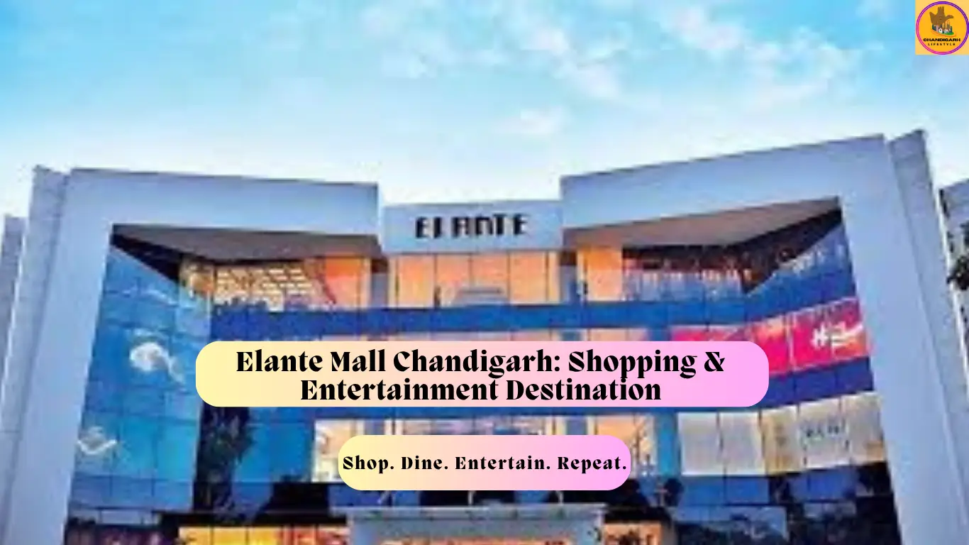 elante office chandigarh, elante mall CHD, Elante Mall Chandigarh Sector 22, Elegant mall chandigarh shops, Elegant mall chandigarh restaurants, Elegant mall chandigarh shops list, Elegant mall chandigarh stores, Elegant mall chandigarh opening time Elante Mall directions, Elante Mall photos elante chandigarh, accessorize elante mall chandigarh, adidas store in elante mall chandigarh, alante mol chandigarh, elegant mall chandigarh, elante shopping mall chandigarh, elante mall industrial area phase i chandigarh, elante mall chandigarh stores, elante mall chandigarh sector 22, elante mall chandigarh pvr, elante mall chandigarh owner, elante mall chandigarh location, elante mall chandigarh in which sector, elante chd, elante chandigarh pvr, chandigarh elante mall shops, chandigarh elante mall address, bookmyshow chandigarh elante, atlanta mall chandigarh, Elante mall chandigarh movie show timings, Elante Mall Chandigarh directions, Elante Mall, Chandigarh timings, Elante Mall Chandigarh Sector 22, Elante mall Chandigarh Sector 17, Elante Mall, Chandigarh movie, Elante mall chandigarh stores, Elante mall chandigarh restaurants