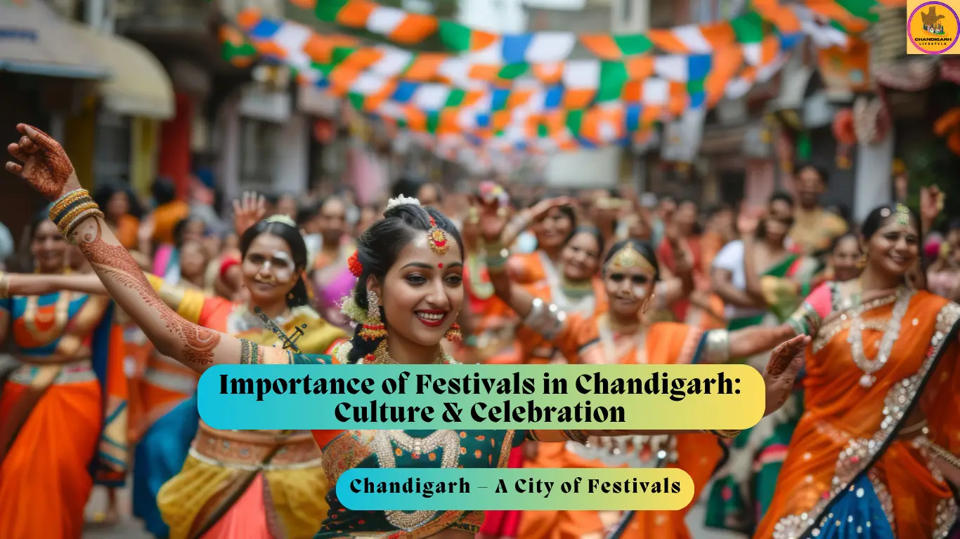 festivals in chandigarh, festival chandigarh, chandigarh club holi, chandigarh holi, chandigarh holi celebration, christmas celebration in chandigarh, dandiya night chandigarh, dandiya night in chandigarh, diwali celebration chandigarh, diwali shopping in chandigarh, durga puja in chandigarh, flower show in chandigarh, holi celebration chandigarh, holi celebration in chandigarh, holi chandigarh, holi fest chandigarh, holi fest in chandigarh, lohri celebration chandigarh, lohri celebration in chandigarh, lohri in chandigarh, sunburn chandigarh holi, sunburn holi chandigarh