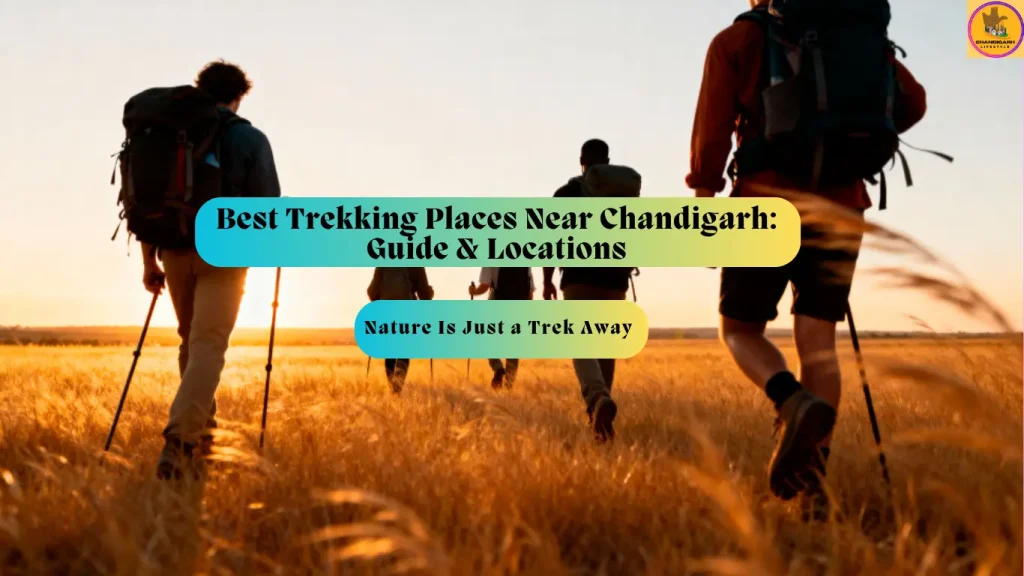 trekking places near chandigarh, trekking places near chandigarh, best trekking places near chandigarh, camping and trekking near chandigarh, trekking and camping near chandigarh, trekking near chandigarh, treks near chandigarh, trekking places near chandigarh to Mohali, trekking places near chandigarh to Part of the Chandigarh Tricity, trekking places near chandigarh to Kasauli, trekking places near Chandigarh to Colonial-Era Town Known for Apple Orchards, trekking places near chandigarh to Nahan, trekking places near chandigarh to Anandpur Sahib, trekking places near chandigarh to Chail, trekking places near chandigarh to Shimla, trekking places near chandigarh to Kufri, trekking places near chandigarh to Paonta Sahib, One day trek near Chandigarh, Best places to go backpacking from chandigarh within 100, One day trek near Chandigarh, Hill stations near Chandigarh within 50 km, Hill stations near Chandigarh within 100 kms, Top 10 hill stations near Chandigarh, Small trek near Chandigarh, Karol Tibba trek