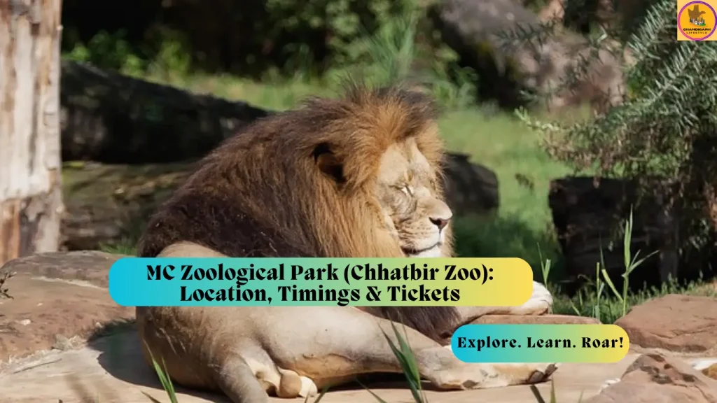 chhatbir zoo, mc zoological park, chhatbir zoo ticket price, chhatbir zoo timings, chhatbir zoo photos, chhatbir zoo contact number, chhatbir zoo ticket free entry, chhatbir zoo open today, chhatbir zoo distance, chhatbir zoo weather, mahendra chaudhary zoological park