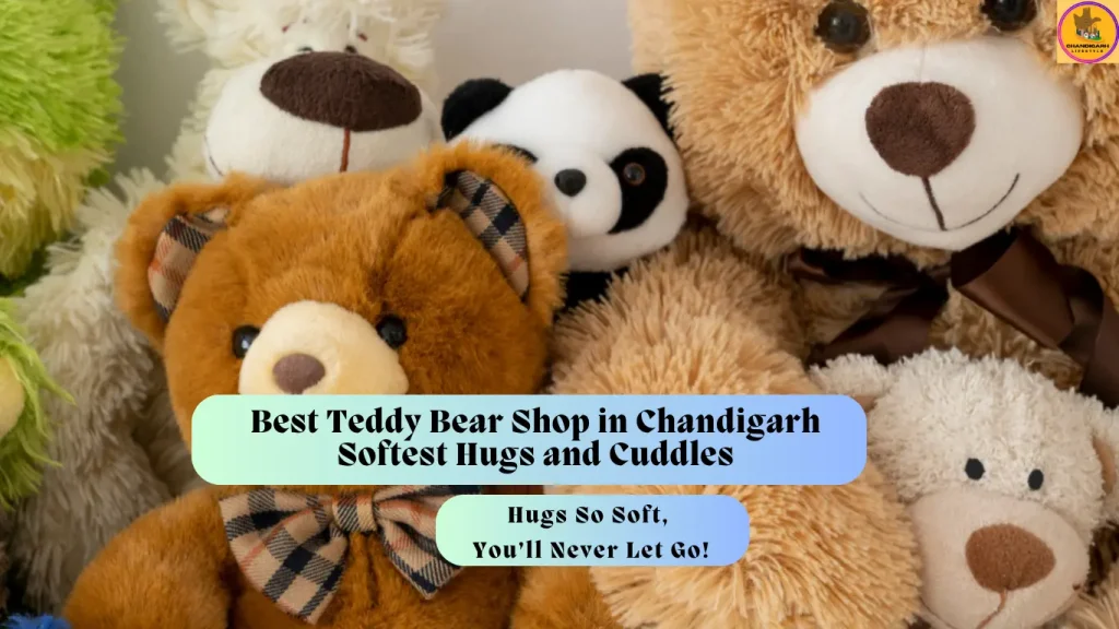 Teddy World, Shoppers Stop, The Toy Store, Reliance Trends, Archies Gallery, The Chandigarh Haat, Best Teddy Bear Shop in Chandigarh, Teddy Bear Shop in Chandigarh, Teddy Bear Shop in tricity, top Teddy Bear Shop in Chandigarh, Teddy Bear Shop Chandigarh
