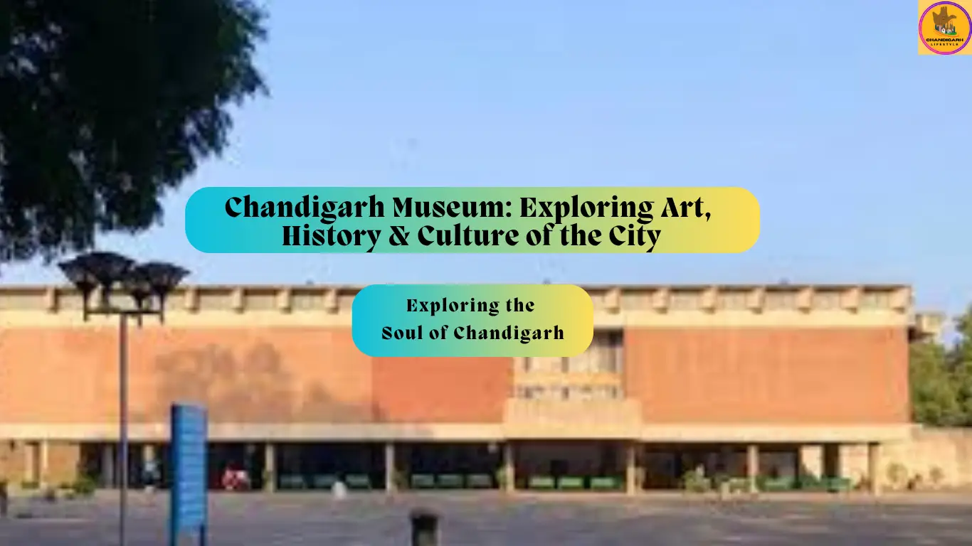 Chandigarh Museum, museums in chandigarh, chandigarh museum and art gallery, government museum and art gallery chandigarh, Chandigarh museum ticket price, Chandigarh museum timings, Chandigarh Museum recruitment, Government Museum and Art Gallery Chandigarh tickets, Top 10 Museum in Chandigarh, Chandigarh museum opening time, Chandigarh museum Sector 10 Timings, Chandigarh museum entry fee