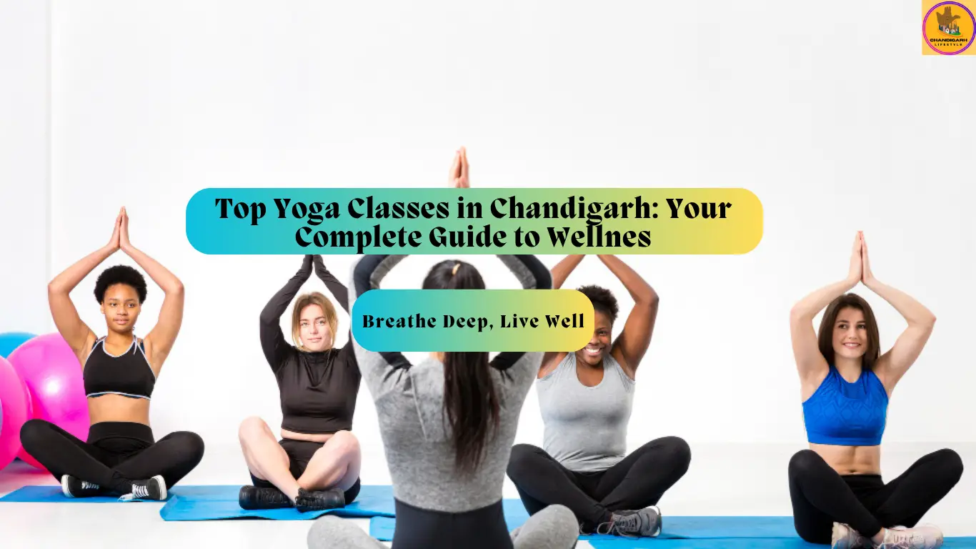 The Yoga Studio Chandigarh, Bikram Yoga Chandigarh, Sattva Yoga and Wellness, Kaivalya Yoga Centre, Shivoham Yoga, Best Yoga Places Near Me, The Best Yoga Centre in Chandigarh, Yoga Classes near me in Chandigarh, best yoga places near me, best yoga classes near me, good yoga classes near me, free yoga classes in Chandigarh, top yoga classes near me, good yoga places near me, top rated yoga studios near me, yoga classes in Chandigarh near me, yoga classes in Chandigarh sector 15, top yoga classes in Chandigarh, the best yoga centre in Chandigarh, yoga classes near me in Chandigarh, yoga classes in Chandigarh near me, Top yoga classes in chandigarh with fees, Yoga classes in Chandigarh with fees, Top yoga classes in chandigarh for ladies, Top yoga classes in chandigarh for beginners, Top yoga classes in chandigarh for weight loss, Free Yoga Classes in Chandigarh, Yoga Classes in Sector 23, Chandigarh, Yoga Classes in Sector 22, Chandigarh