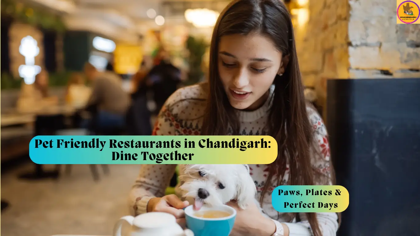 Café JC’s, The Hedgehog Café, Backpackers Cafe, Sector 7 Social, Brooklyn Central, Café De Piccolo, Dialogue Cafe, Coffee Cottage, pet friendly restaurants in chandigarh, pet friendly restaurants in chandigarh, dog friendly restaurants in chandigarh, pet friendly restaurants in chandigarh, pet friendly cafe in chandigarh, Top 10 pet friendly restaurants in chandigarh, Best pet friendly restaurants in chandigarh, Pet friendly restaurants in chandigarh sector 17, Pet friendly restaurants in Mohali, Pet friendly hotels in Chandigarh, Pet friendly Restaurants in Panchkula, Dog cafe in Chandigarh, Pet friendly places in Chandigarh
